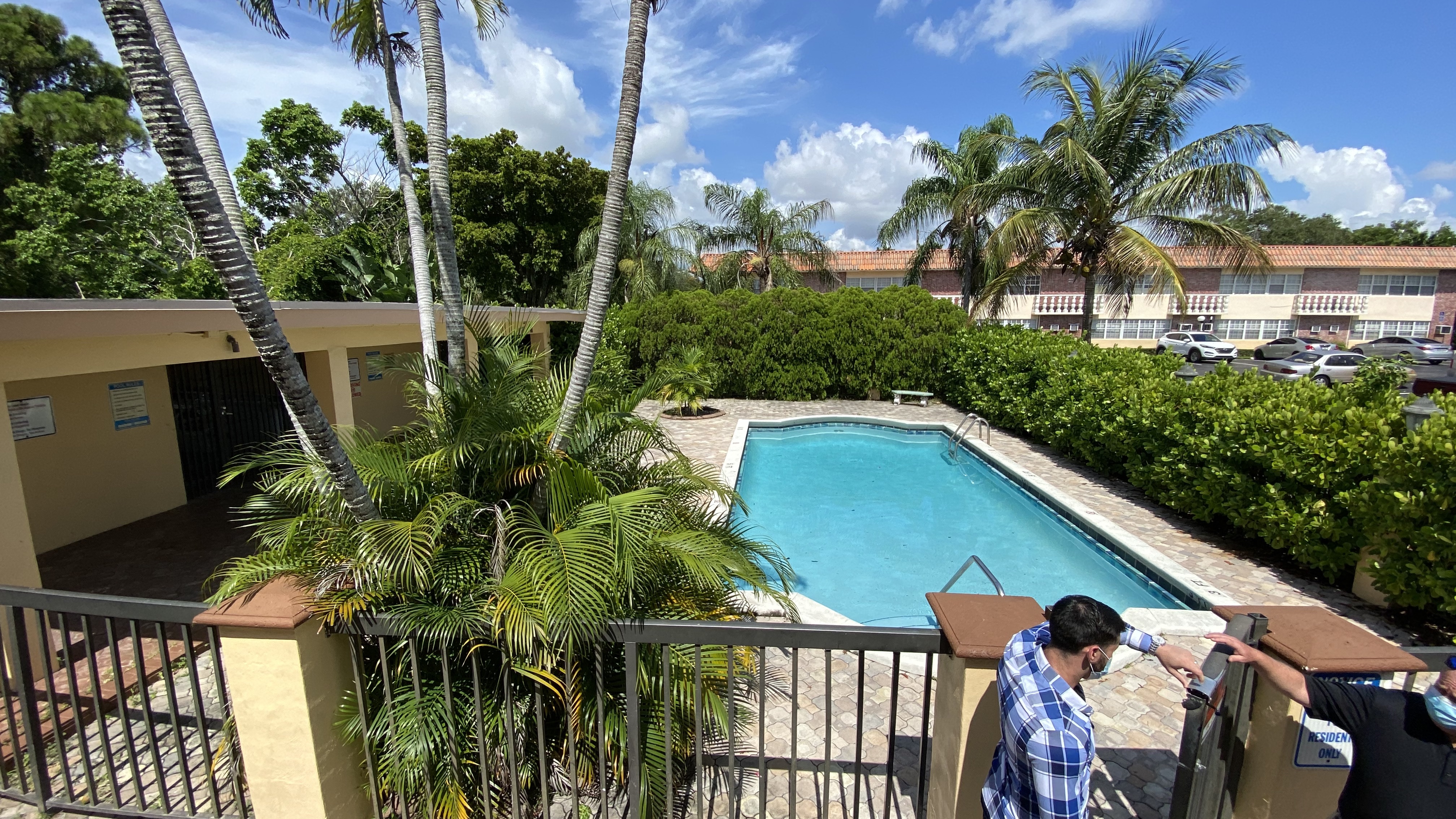 Swimming pool surrounded by palm trees at Wilton Pointe Apartments